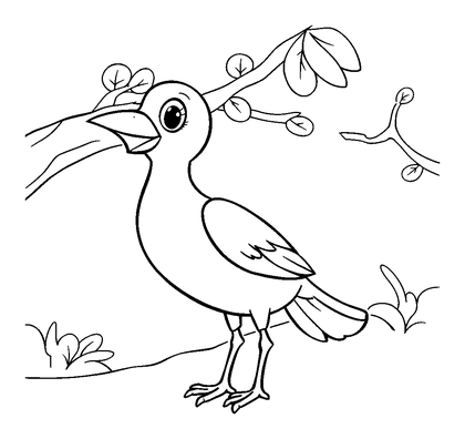 Bird Colouring Page (Kids, Standard)