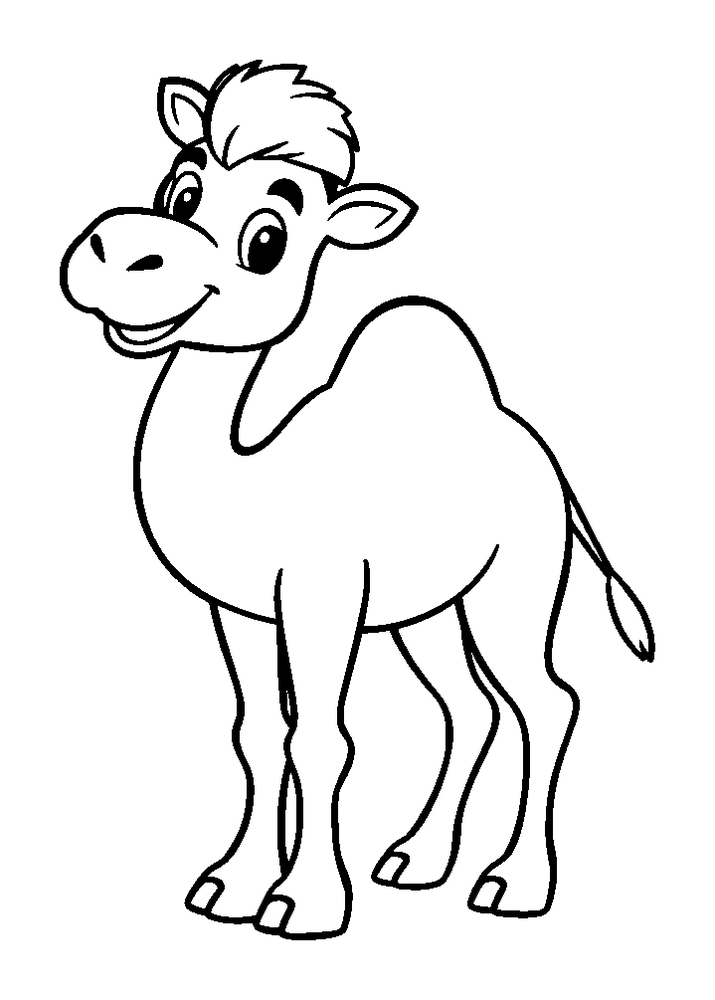 Camel colouring page — free printable for kids