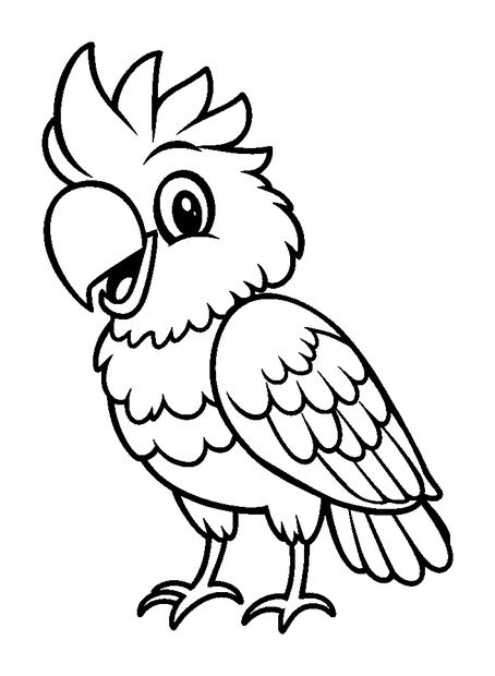 Cockatoo colouring page — free printable for kids