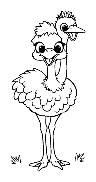 Ostrich colouring page — free printable for kids