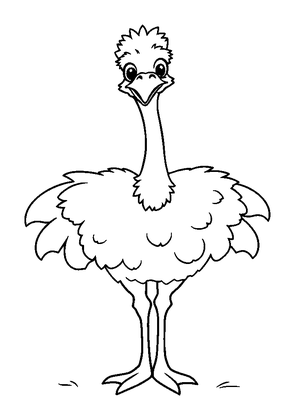 Ostrich Colouring Page (Kids, Standard)