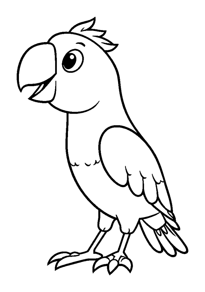 Parrot colouring page — free printable for kids