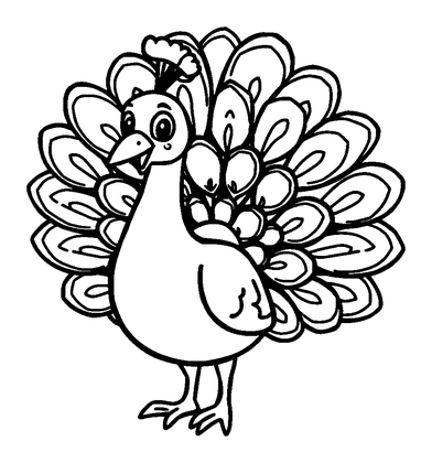 Peacock Colouring Page (Toddler, Bold & Easy)