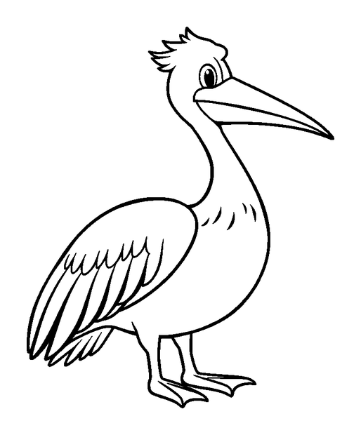 Pelican colouring page — free printable for kids