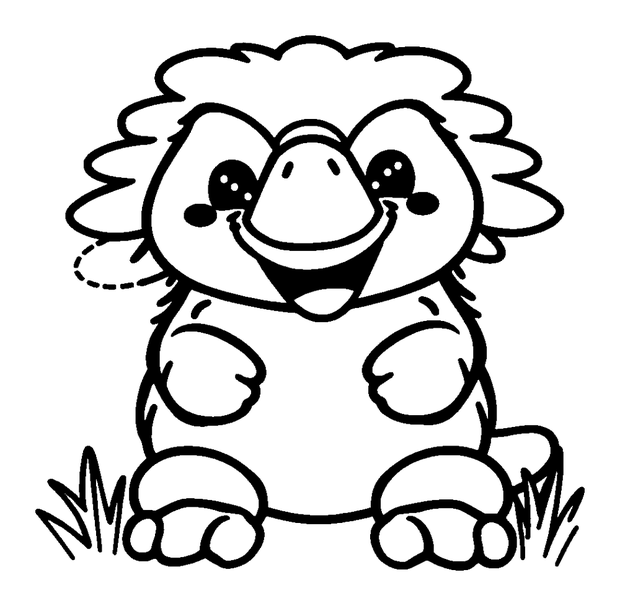 Platypus colouring page — free printable for kids