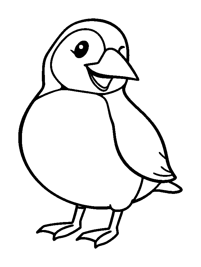 Puffin colouring page — free printable for toddlers