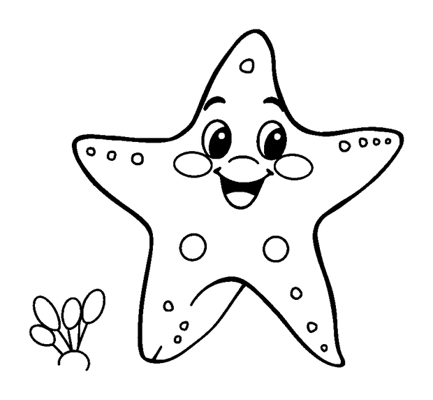 Starfish colouring page — free printable for kids