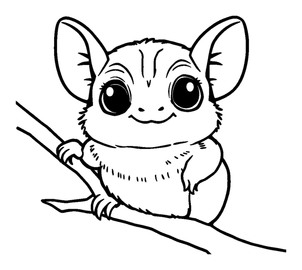 Sugar Glider colouring page — free printable for toddlers