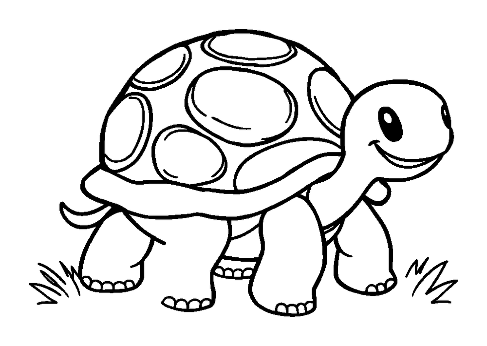 Tortoise colouring page — free printable for kids
