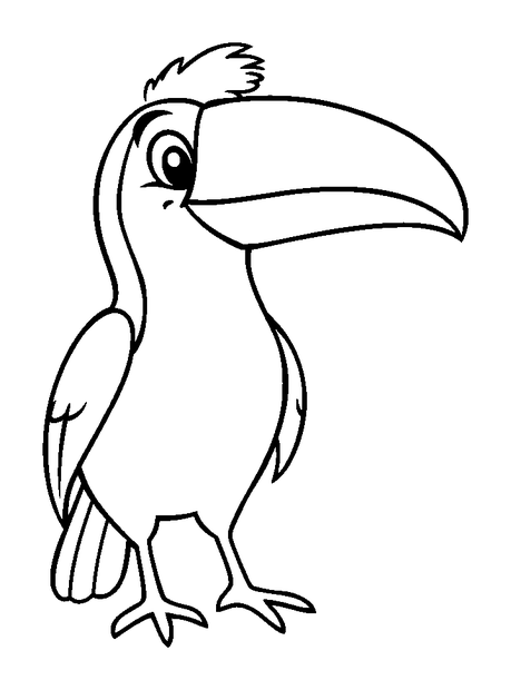 Toucan colouring page — free printable for kids