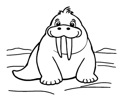 Walrus Colouring Page (Toddler, Bold & Easy)