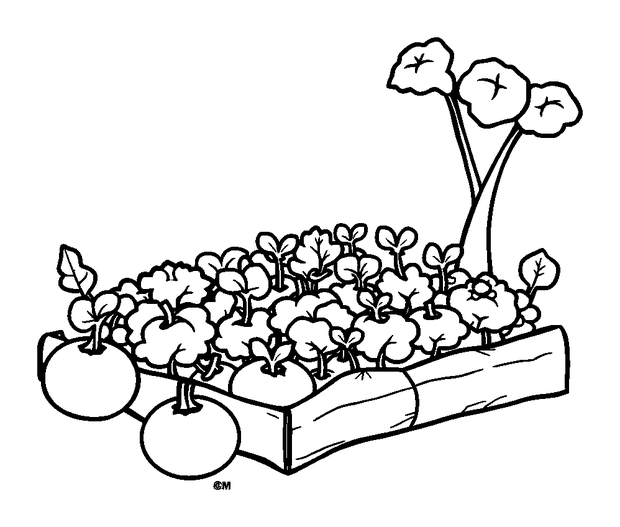 Allotment colouring page — free printable for kids