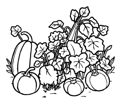Allotment Colouring Page (Kids, Standard)