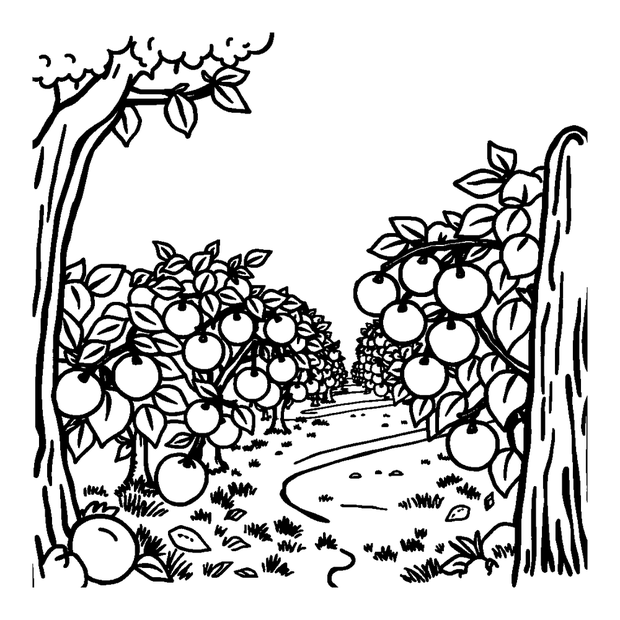 Orchard colouring page — free printable for kids