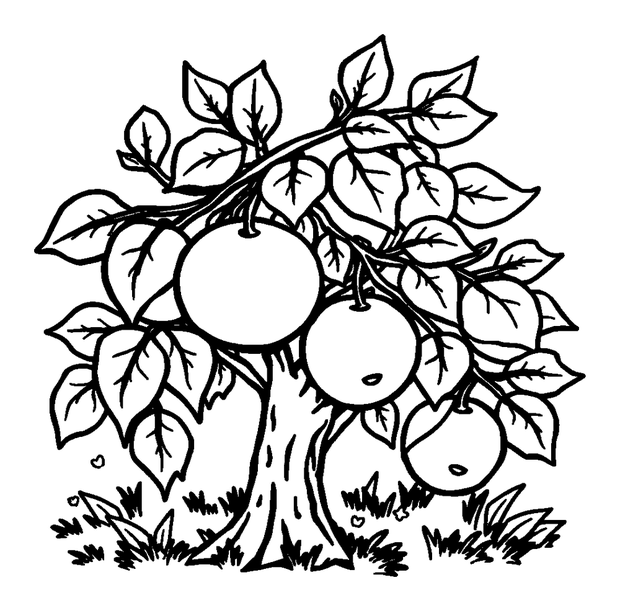 Orchard colouring page — free printable for kids