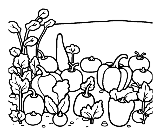 Vegetable Patch colouring page — free printable for kids