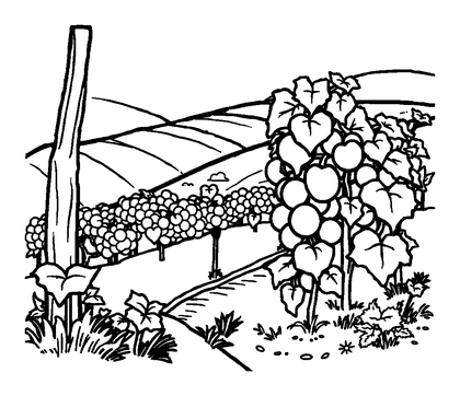 Vineyard Colouring Page (Kids, Standard)