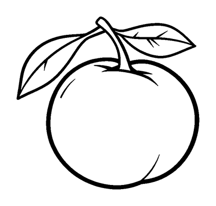 Apricot Colouring Page (Kids, Bold & Easy)