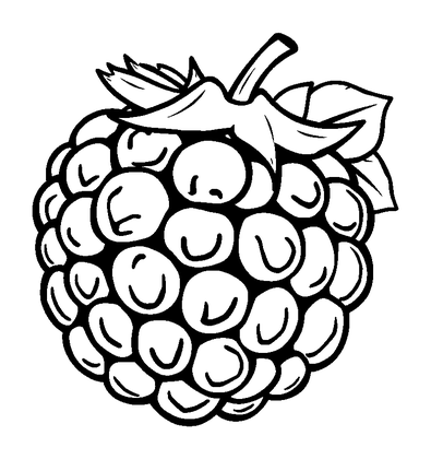Blackberry Colouring Page (Kids, Standard)