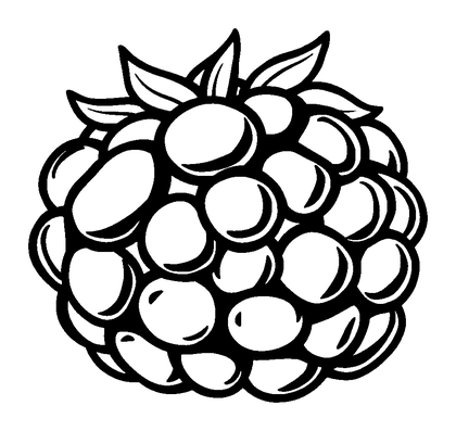 Blackberry Colouring Page (Toddler, Bold & Easy)