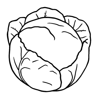 Cabbage Colouring Page (Toddler, Bold & Easy)
