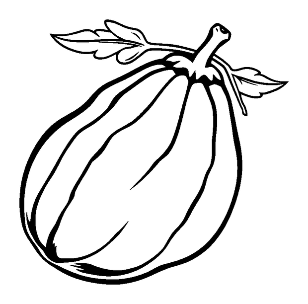 Cantaloupe colouring page — free printable for kids