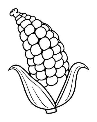 Corn On The Cob Colouring Page (Kids, Bold & Easy)