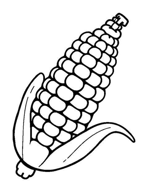 Corn On The Cob colouring page — free printable for kids