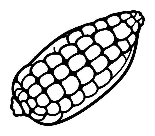 Corn On The Cob colouring page — free printable for toddlers
