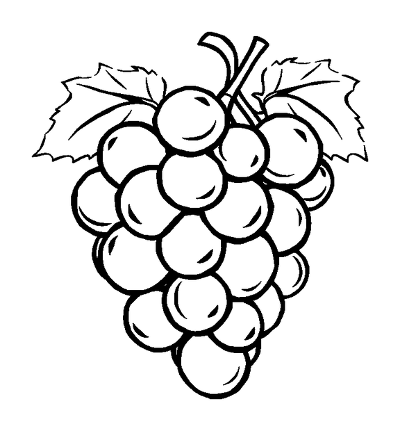 Grapes colouring page — free printable for kids