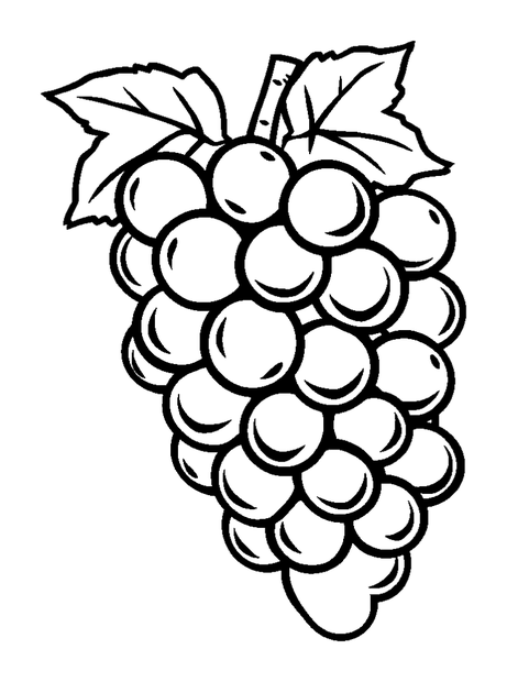 Grapes colouring page — free printable for kids