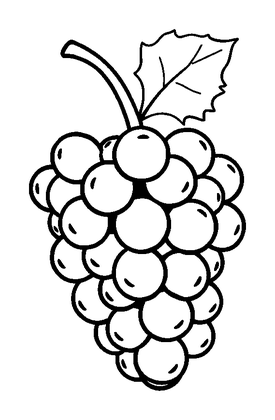 Grapes Colouring Page (Toddler, Bold & Easy)