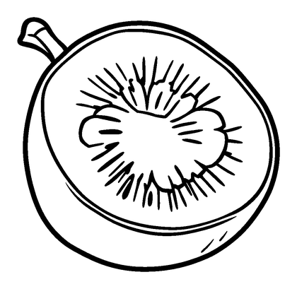 Kiwi Fruit Colouring Page (Kids, Bold & Easy)