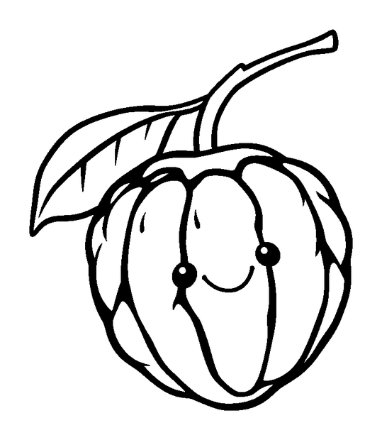 Lychee colouring page — free printable for toddlers