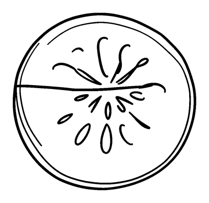 Melon Slice Colouring Page (Kids, Bold & Easy)