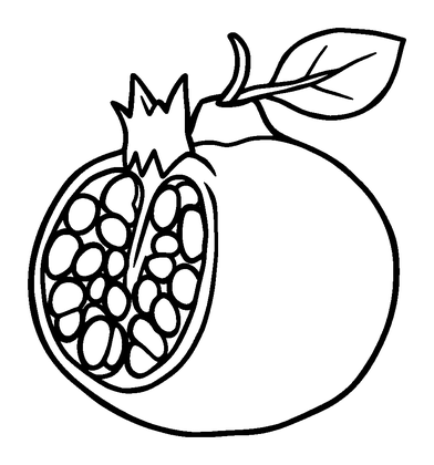 Pomegranate Colouring Page (Kids, Bold & Easy)