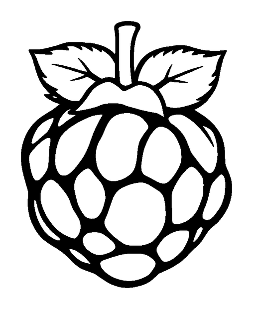 Raspberry colouring page — free printable for kids