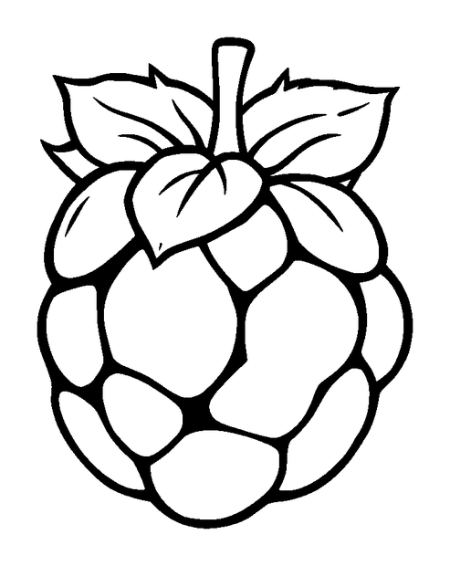 Raspberry colouring page — free printable for kids