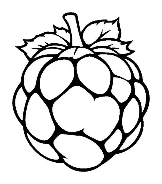 Raspberry colouring page — free printable for toddlers