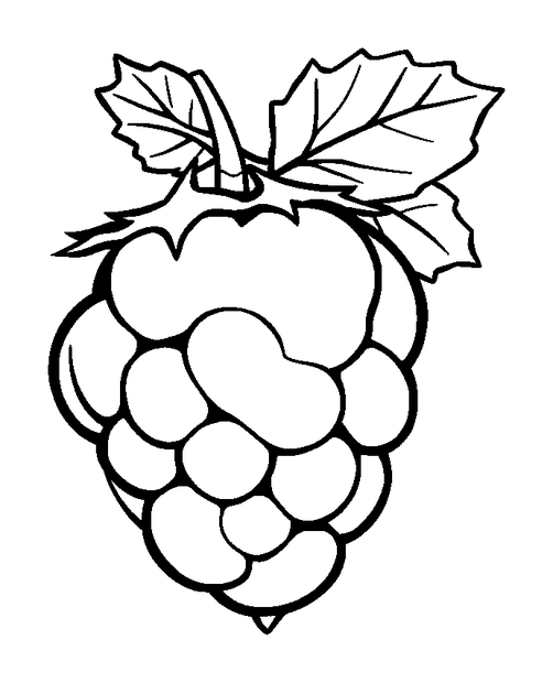Redcurrant colouring page — free printable for kids