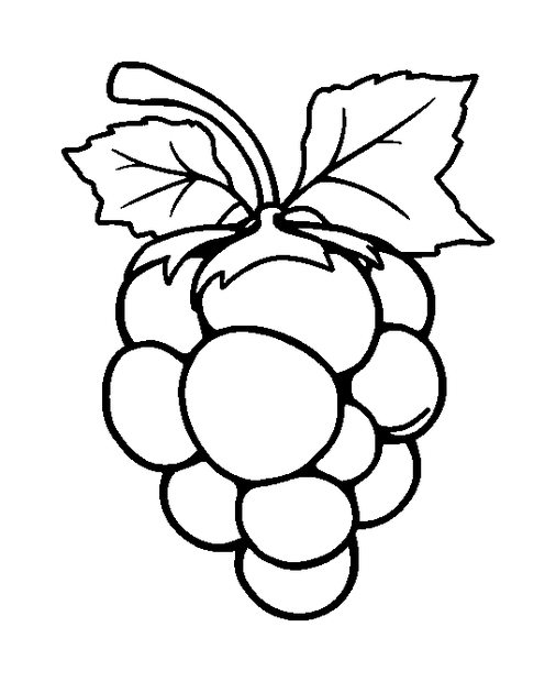 Redcurrant colouring page — free printable for kids