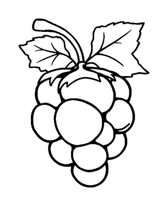 Redcurrant Colouring Page (Kids, Standard)