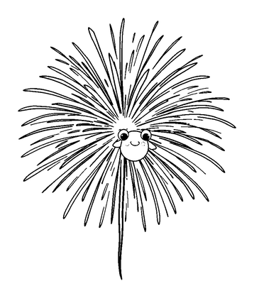 Fireworks Colouring Page (Toddler, Bold & Easy)
