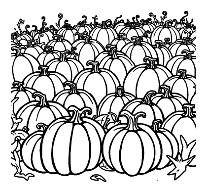 Halloween Pumpkin Patch Colouring Page (Kids, Bold & Easy)