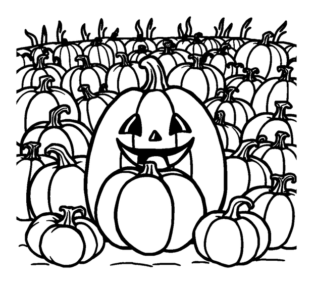 Halloween Pumpkin Patch colouring page — free printable for toddlers