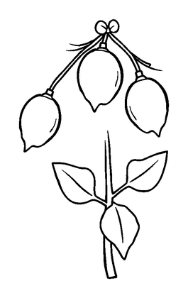 Mistletoe Colouring Page (Toddler, Bold & Easy)