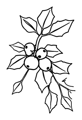 Mistletoe Colouring Page (Toddler, Bold & Easy)