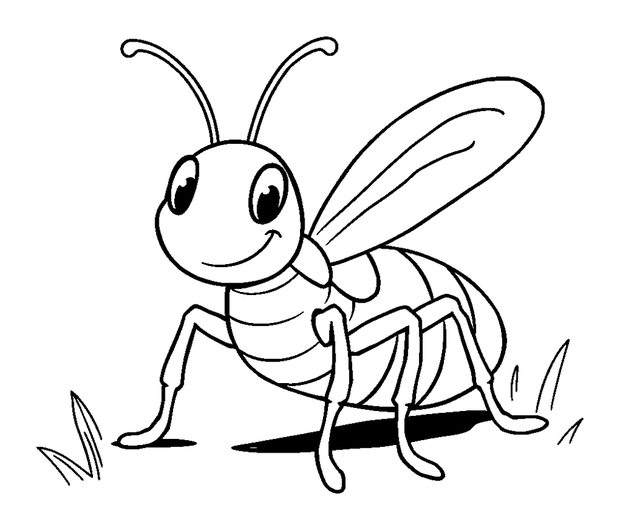 Cricket Insect colouring page — free printable for toddlers