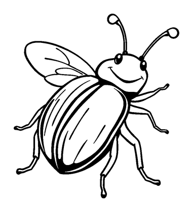 June Beetle Colouring Page (Kids, Standard)