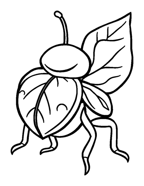 Leaf Beetle colouring page — free printable for kids